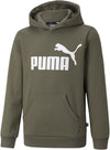 Ess Big Logo Hoodie