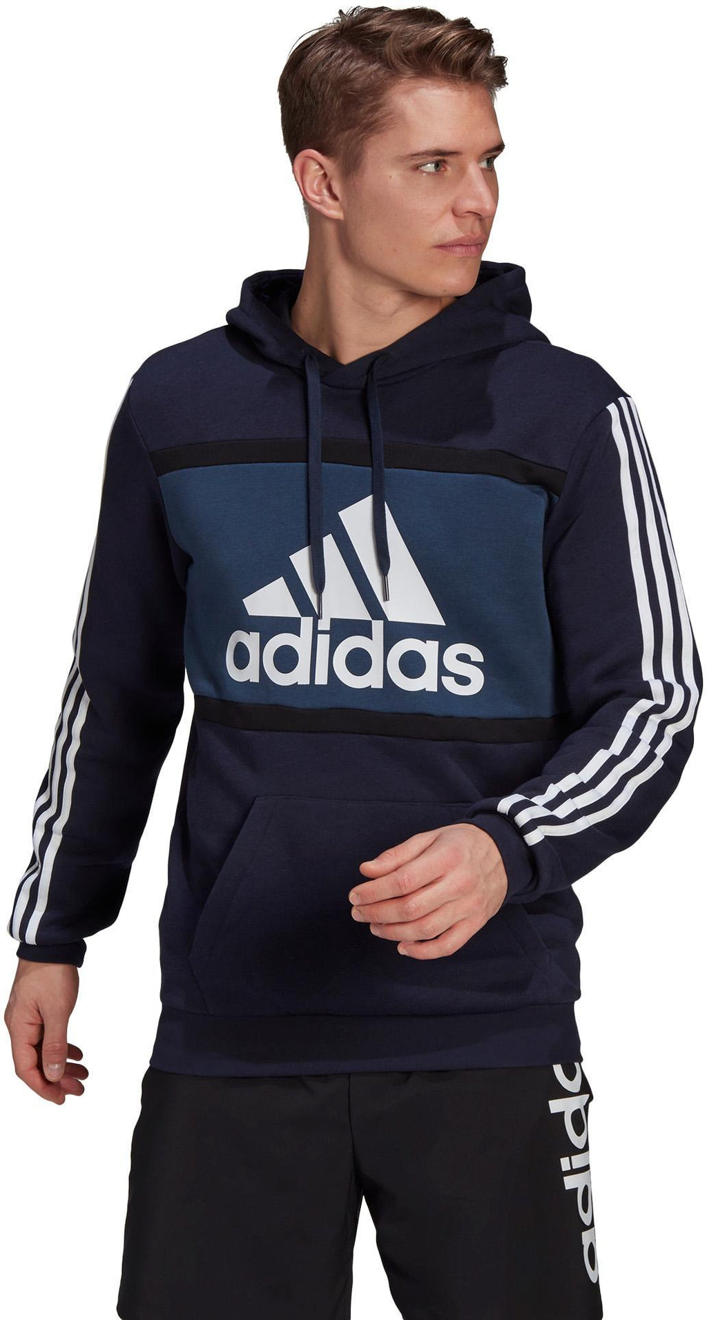 Essentials Logo Colorblock Hoodie