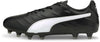 King Pro 21 Fg
