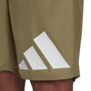 Classic-Length Logo zwemshort