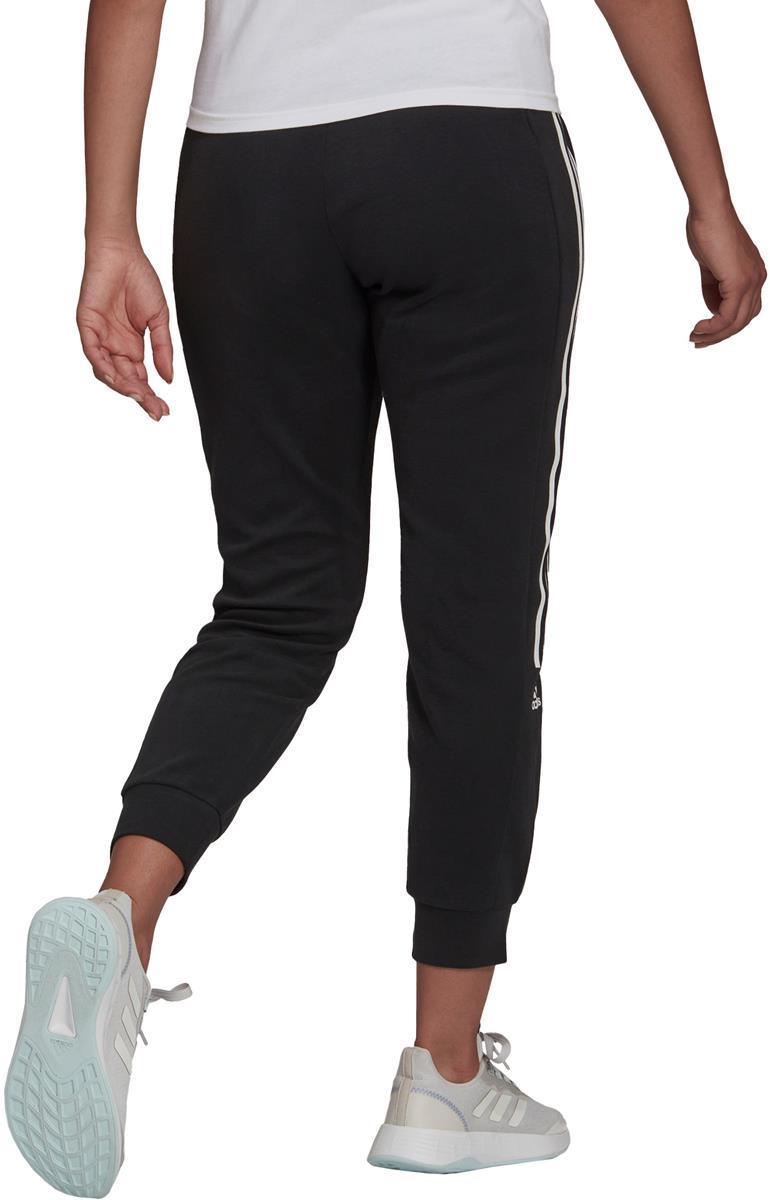TC PT. Pant