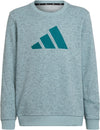 Future Icons 3-Stripes Sweatshirt