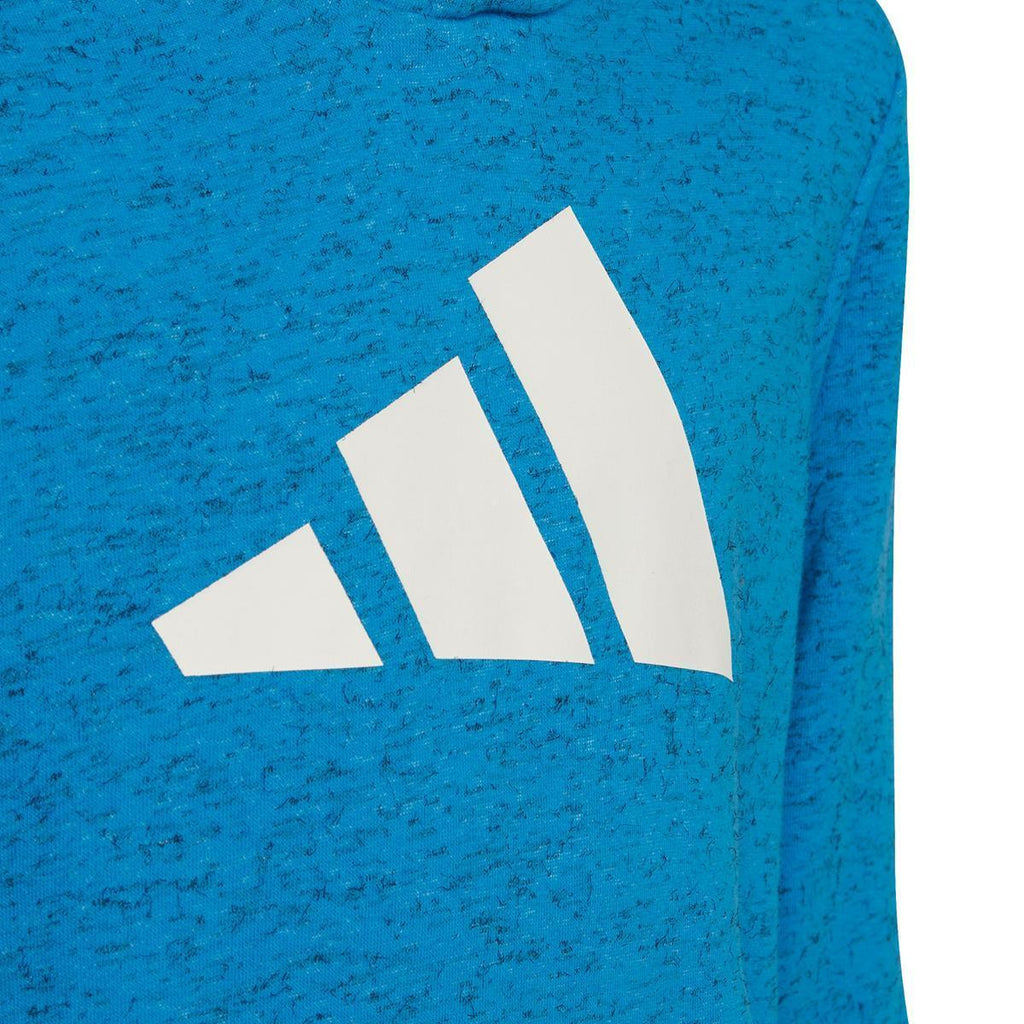 Future Icons 3-Stripes Hooded sweater