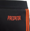 yb p 3s short