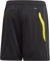 Manchester FC short