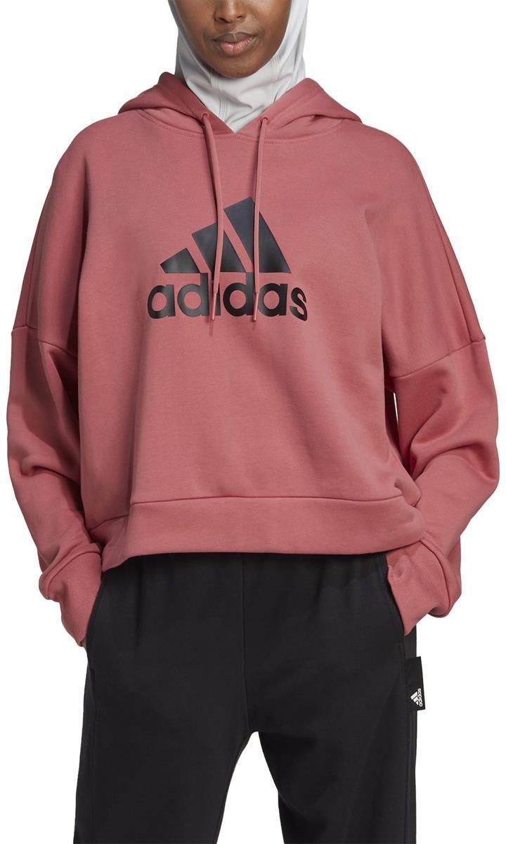 Future Icons Badge of Sport hoodie
