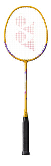 Nanoray Dynamic Gravity