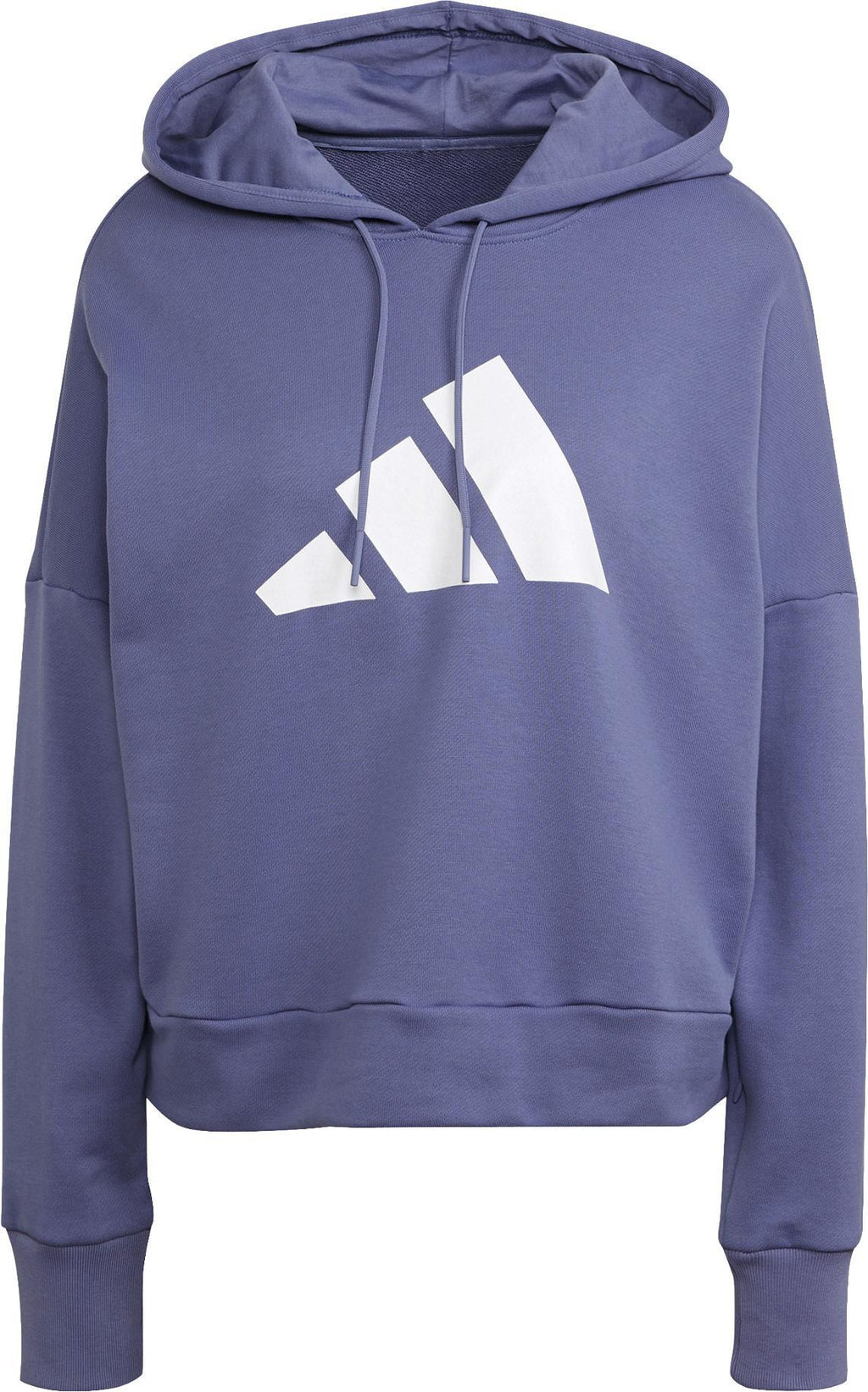 Sportswear Future Icons hoodie