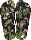 i love tropical