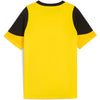 Bvb Training Jersey Jr