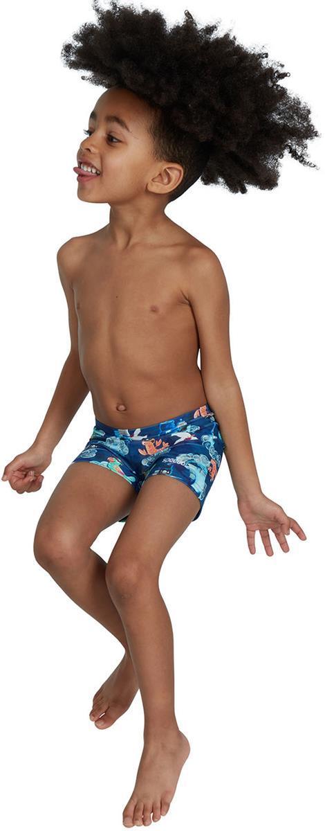 Tommy Turtle Placem Aqsh Blu/yel