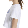 Cl F Big Logo Tee