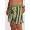 Originals Stripe 15 Zwemshort