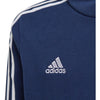 Tiro21 Sw Hoody