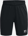 M's Ch. Knit trainingsshort