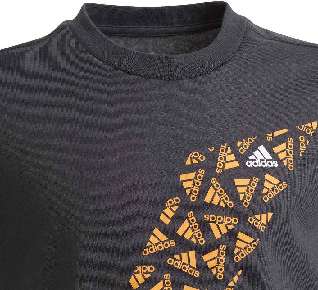Graphic kids t-shirt
