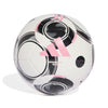 Juventus voetbal Thuisclub