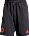 FC Bayern München Tiro Downtime short 21/22