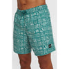 Print 16 Zwemshort