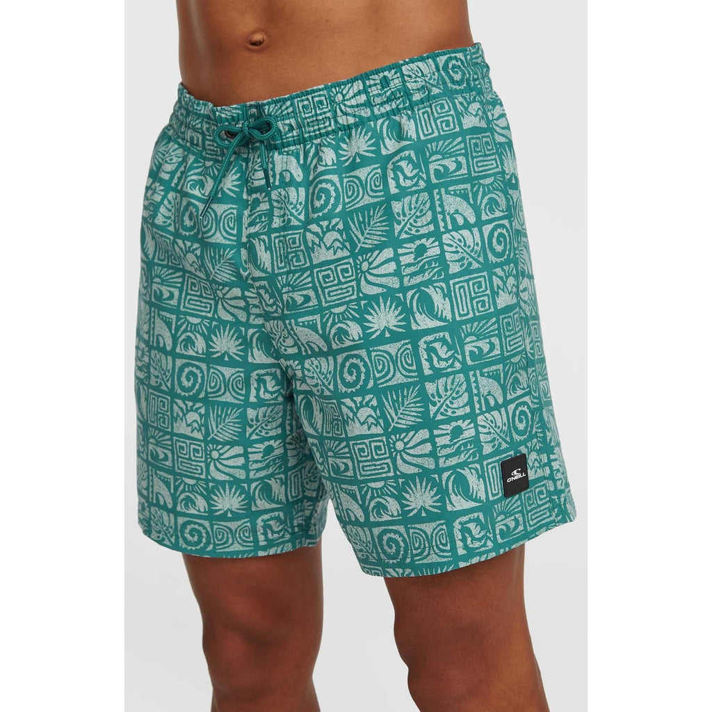 Print 16 Zwemshort