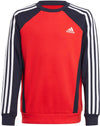 Colorblock Sweatshirt
