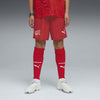 Sfv Shorts Replica voetbal kids