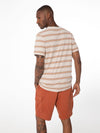 Prtnytro Cargoshort