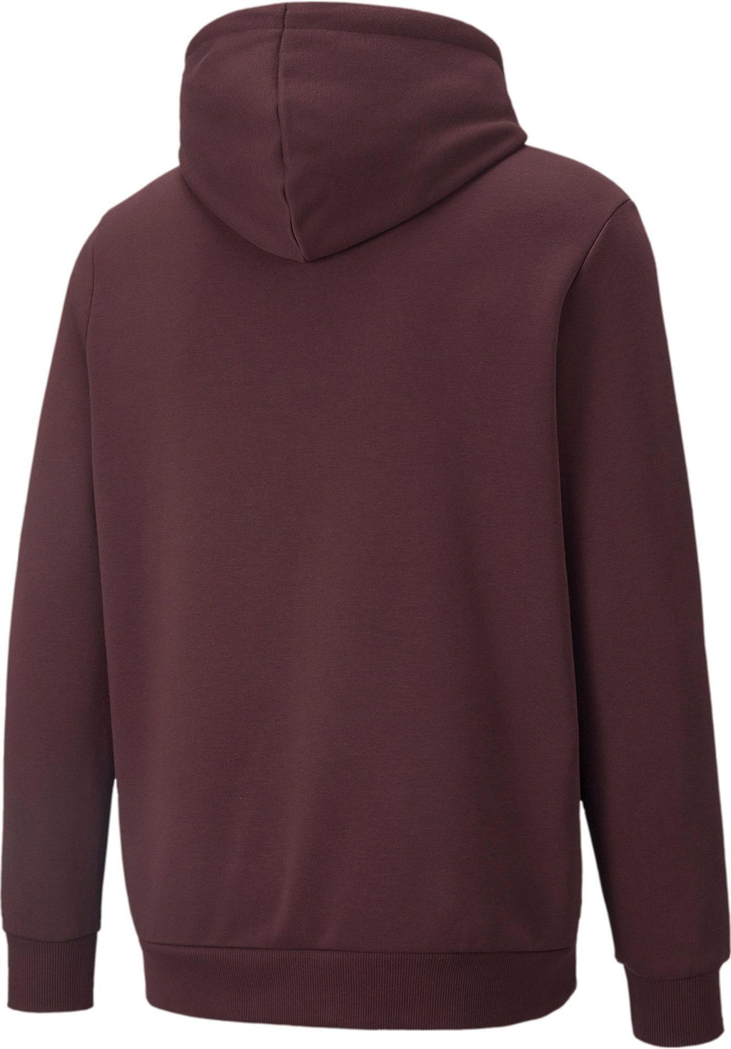 Ess Big Logo Hoodie