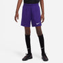 NIKE DRI-FIT PARK III BIG KIDS