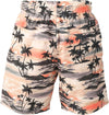 Cestery-ao   Boys Swim Shorts