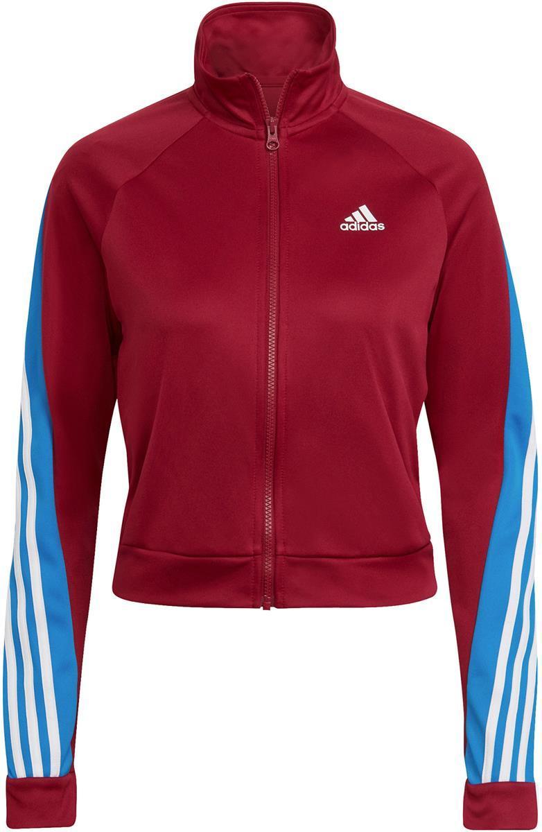 Sportswear Teamsport Trainingspak