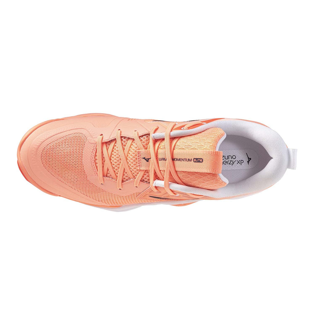 wave momentum elite volleybalschoenen