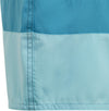 Yb Cb Shorts