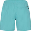 Faster Beachshort
