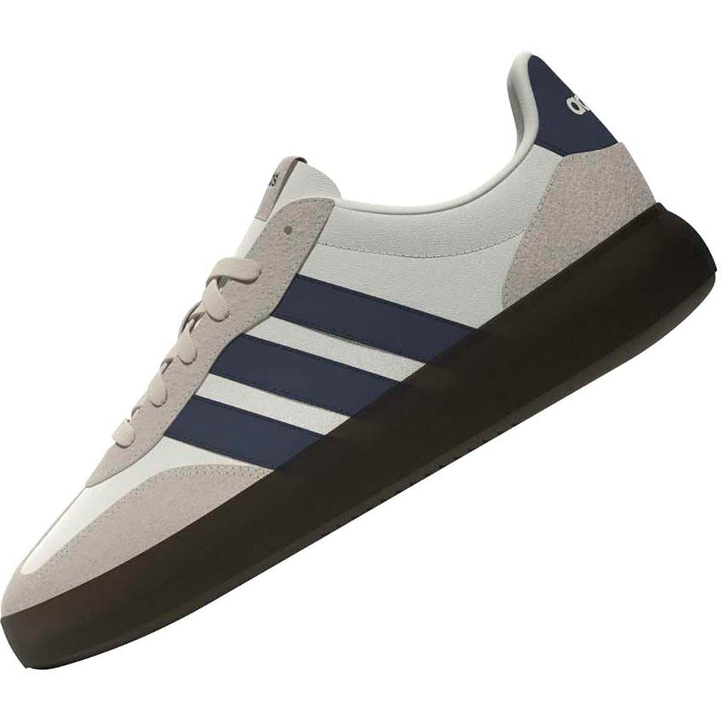 BARREDA DECODE SCHOENEN