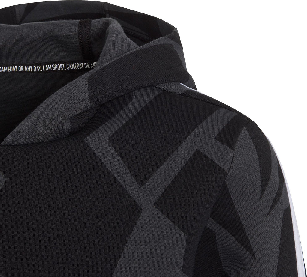 B FI 3S GRA HD. Kapuzensweater