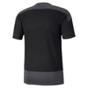 Teamgoal 23 Training Jersey