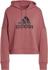 Future Icons Badge of Sport hoodie