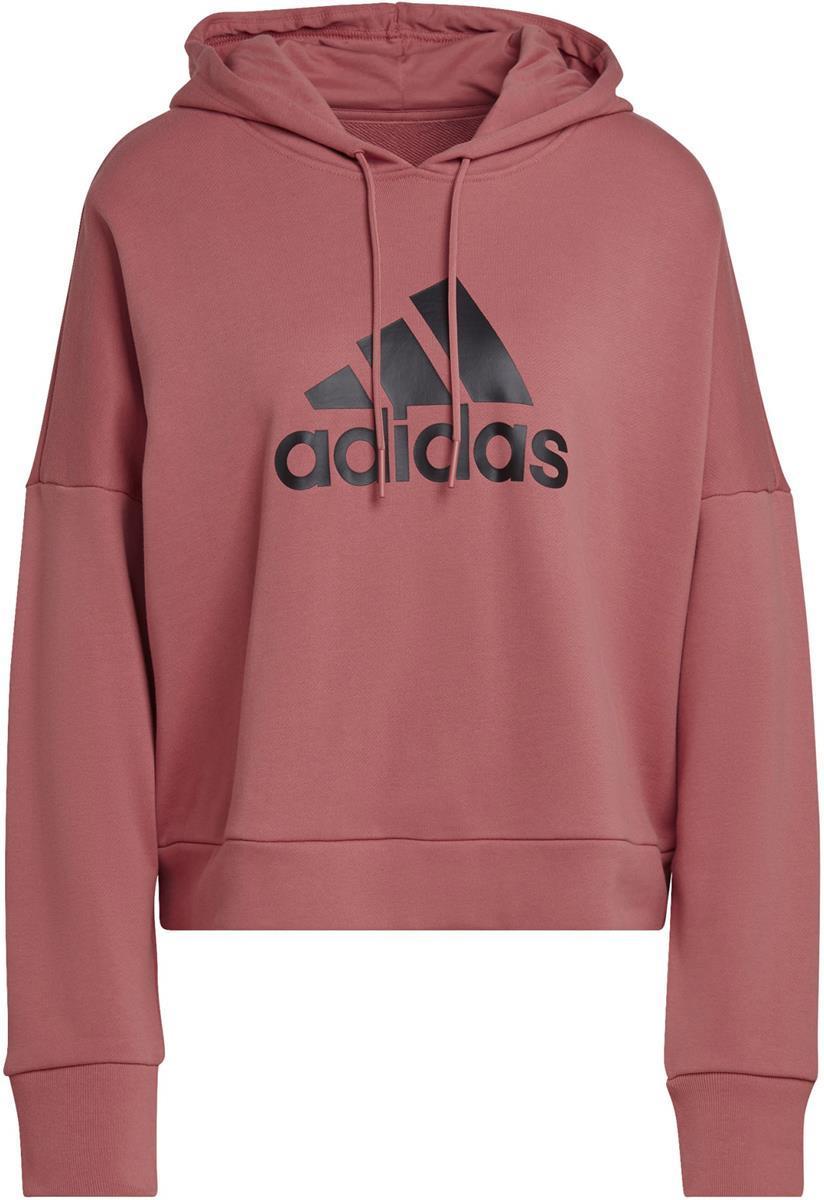 Future Icons Badge of Sport hoodie