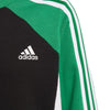 Colorblock Sweatshirt