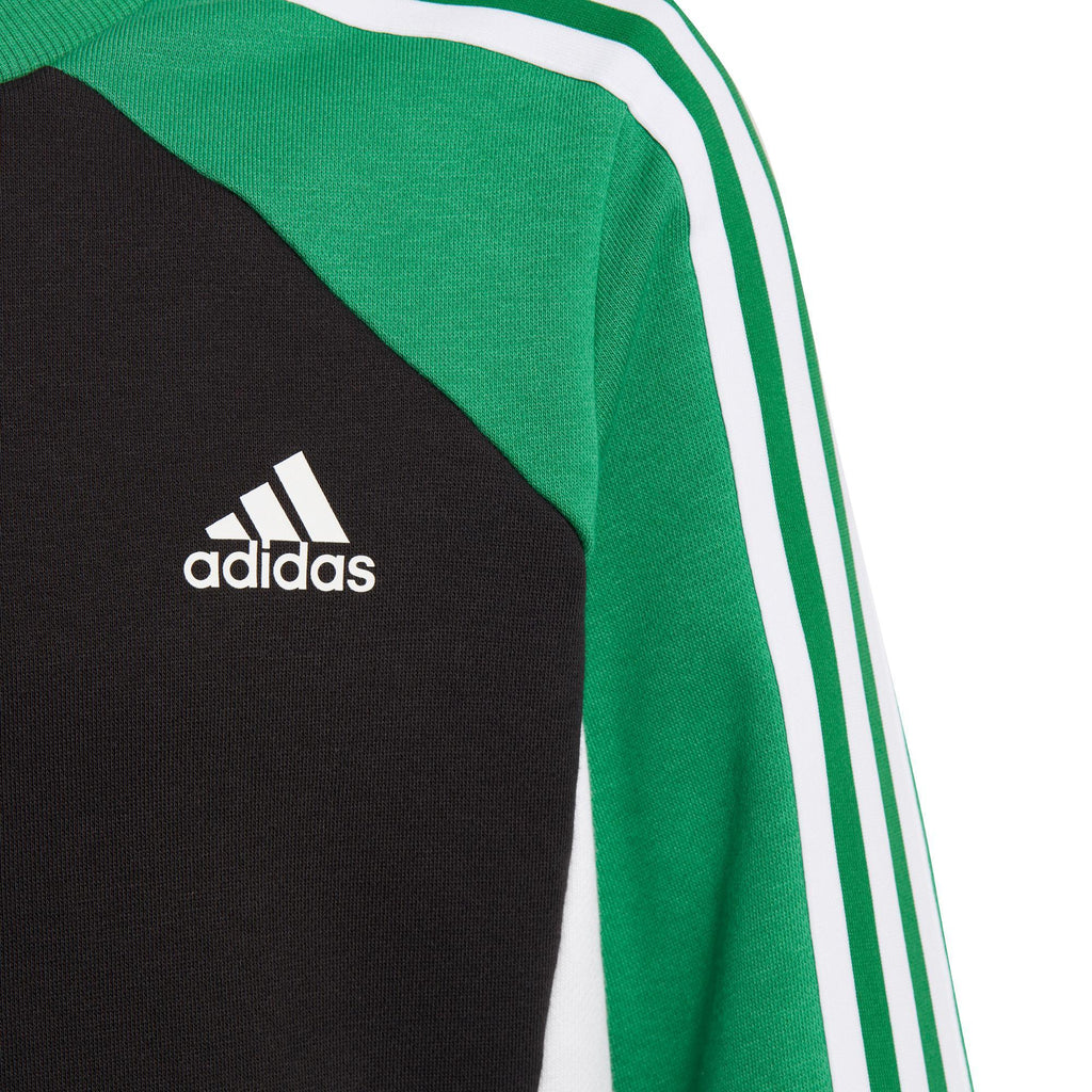 Colorblock Sweatshirt