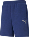 Evostripe Shorts