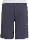 Yb 3s Shorts
