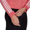 Essentials Logo Colorblock Fleece Cropped Hoodie