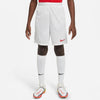 NIKE DRI-FIT PARK III BIG KIDS