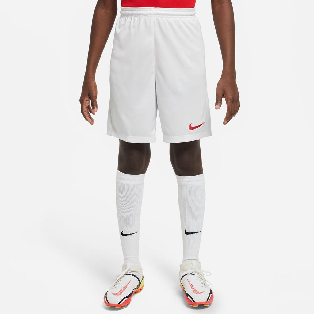 NIKE DRI-FIT PARK III BIG KIDS