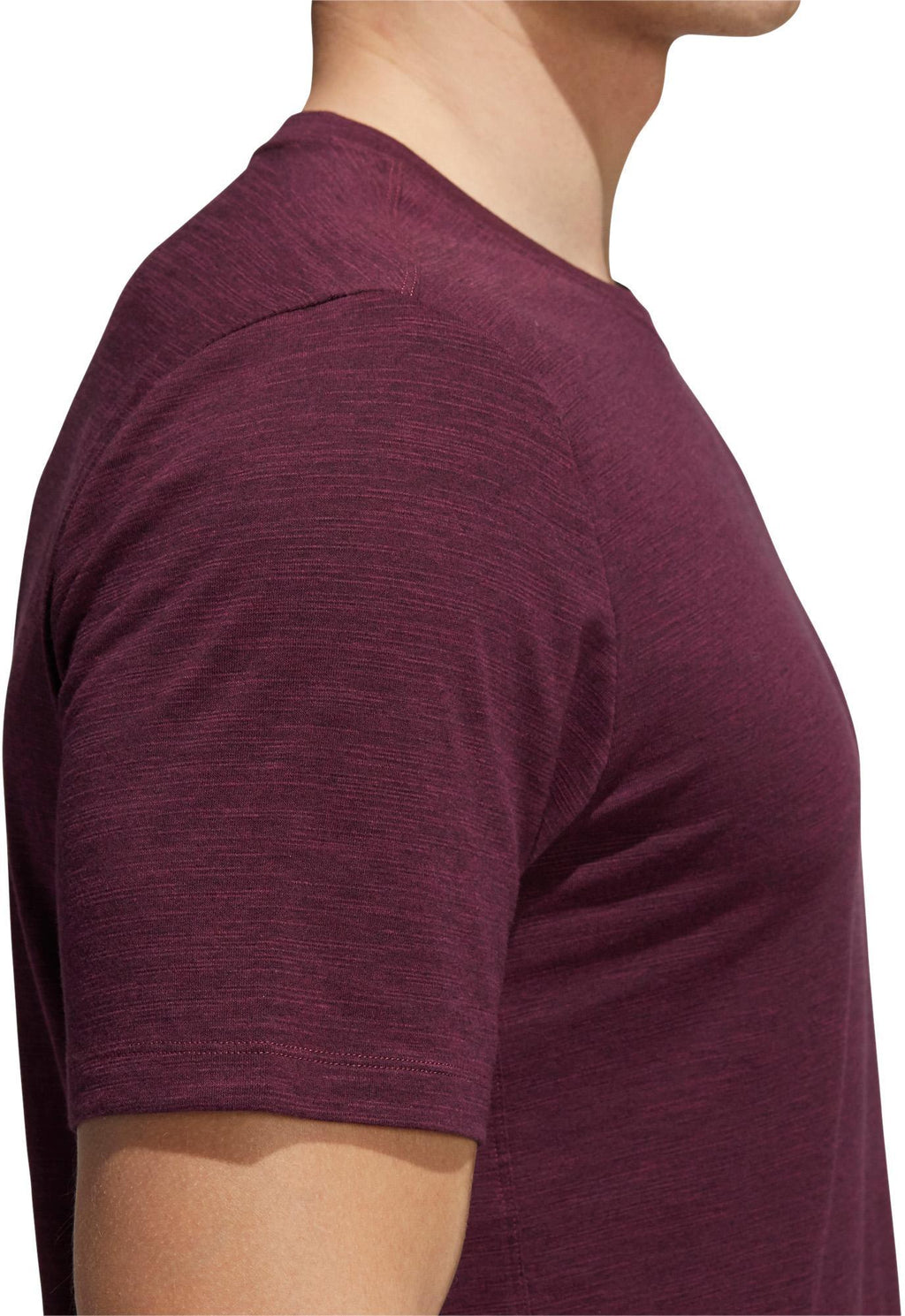 City Elevated T