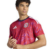 Costa Rica 26 Thuisshirt