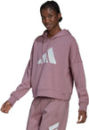 adidas Sportswear Future Icons hoodie