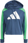 W TS BIG LOGODa. Jogger mit Kapuze